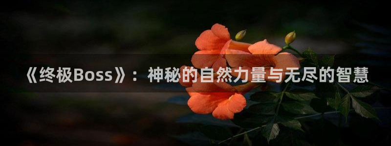 溯洄春时漫画下拉式奇漫屋：《终极Boss》：神秘的自然力量与无尽的智慧