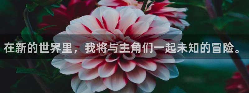 无根之树奇漫屋：在新的世界里，我将与主角们一起未知的冒险。